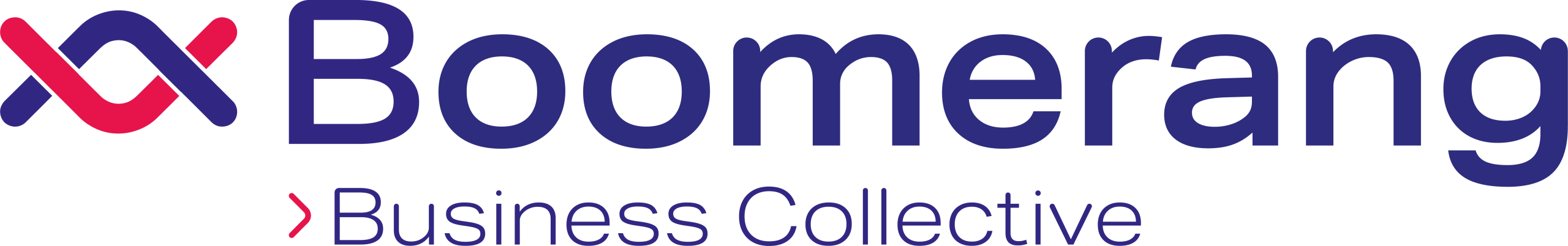 Logo van Boomerang Business Collective